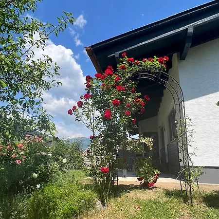 Lara Holiday home